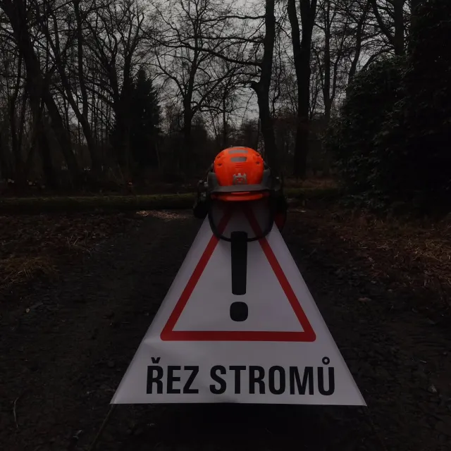 Dne 3.12.  Proběhlo poslední kácení v městském parku dvou stromů.  Aby se nepoškodili okol