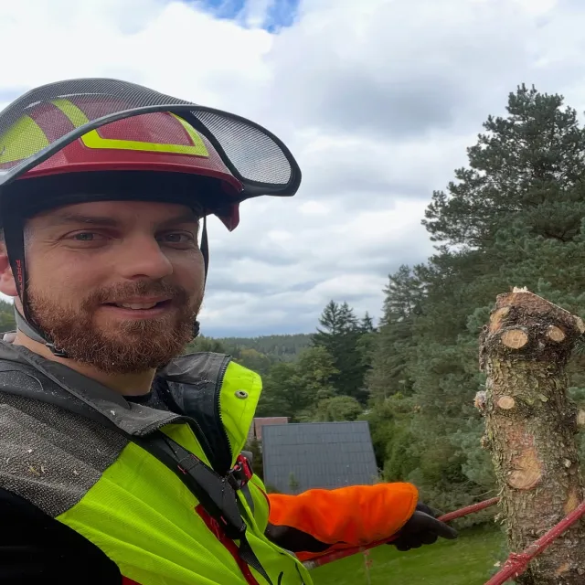 💪🌲 Dva dny mezi větvemi a pilinami!  První den jsem strom postupně odvětvil a bezpečně ská
