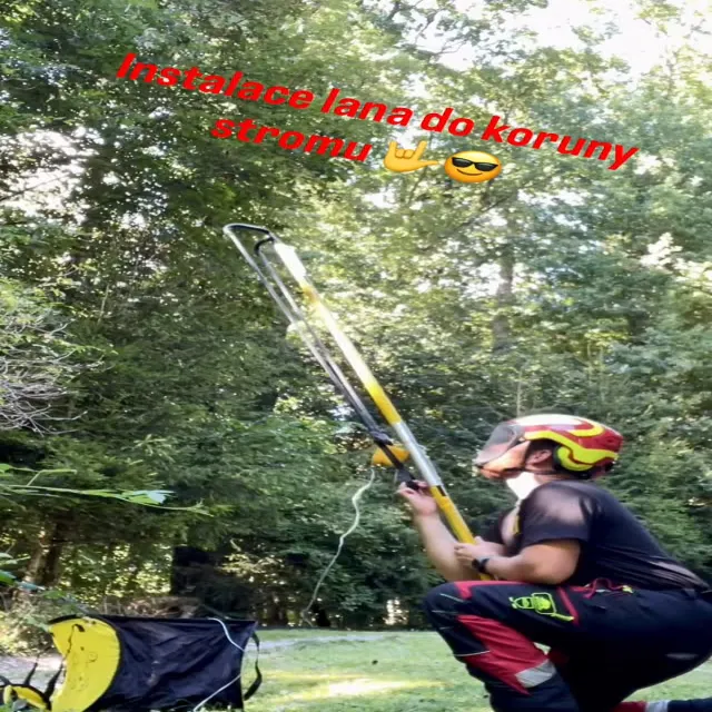 Rizikové kácení — Michal Řezáč